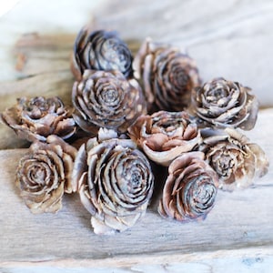 Rustic Cedar Rose, Deodar Cedar Cones, Wreaths Crafts Potpourri Hobby Ornament Natural Decor Florist supplies Terrarium, 10 count