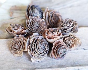 Rustic Cedar Rose, Deodar Cedar Cones, Wreaths Crafts Potpourri Hobby Ornament Natural Decor Florist supplies Terrarium, 10 count