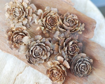 Weathered Cedar Rose, Deodar Cedar Cones, Wreaths Crafts Potpourri Hobby Ornament Natural Decor Florist supplies Terrarium, 8 count