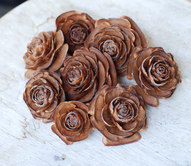 Cedar Rose, Deodar Cedar Cones, Wreaths Crafts Potpourri Hobby Ornament Natural decor Florist supplies Terrarium, 8 count image 2