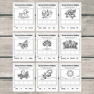 May include: Nine black and white Spring Sentence Building cards. Each card has a spring-themed illustration and sentence building activity. The cards show a duck, birds, a flower, a butterfly, a tree, flowers, a bird, a frog, and the sun.