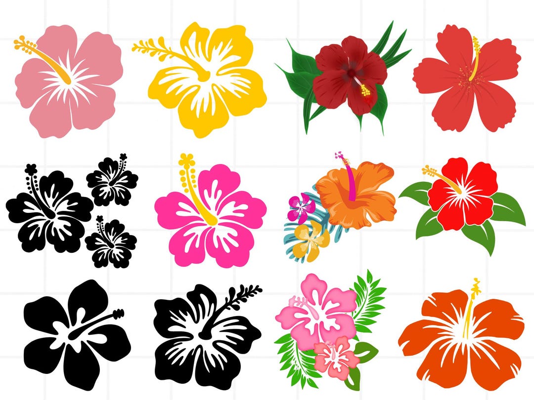 Buy Hibiscus Flower Svg, Hibiscus Svg Bundle, Hawaiian Flower Svg ...