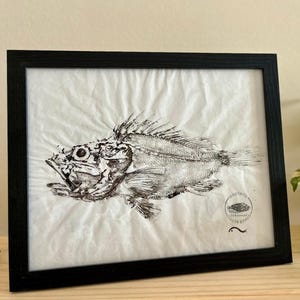 Lienzo Gyotaku hecho a mano / Pez roca rojo mediterráneo / Impresión de peces reales / Arte mural costero y náutico / Decoración del hogar con vida marina / Lujo isleño