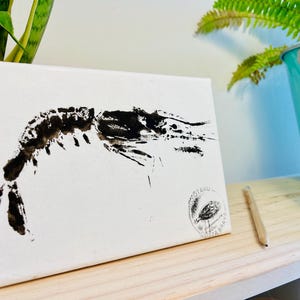 Handmade Gyotaku Canvas | Palamós Red Prawn (shrim) Gyotaku Print | Coastal & Nautical Wall Art | Sea Life Home Décor | Ocean Theme