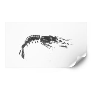 Fish print of a Mediterranean Prawn | Handmade Japanese Gyotaku Art | Instant Digital Download | Sea Lovers, Coastal Decor & Ocean Wall Art