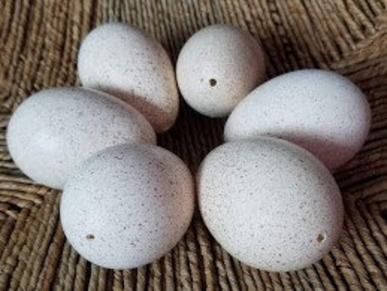 Hand Blown Eggs Organic Natural Heritage Turkey 6 six Etsy