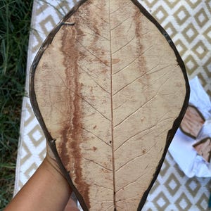 leaf impression- plate/tray/decor