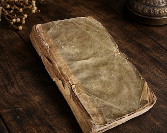 Leyes de 1799, 5.º Congreso de los Estados Unidos, John Adams, Guerra Cuasi-Estadounidense, Francia, Leyes estadounidenses tempranas