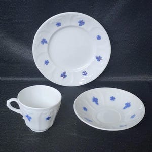 Puede incluir: Un juego de taza de té, platillo y plato de porcelana blanca. El juego presenta un delicado estampado floral azul y detalles en relieve. La taza tiene un asa curva, y el plato y el platillo tienen bordes festoneados.