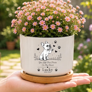 French Bulldog Memorial Mini Planter Pot, Custom Dog Memorial Flower Pot, Photo Planter, Rainbow Bridge Gift, Pet Loss Sympathy Gift