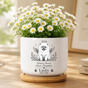 Pomeranian Memorial Mini Planter Pot, Custom Dog Memorial Flower Pot, Photo Planter, Rainbow Bridge Gift, Pet Loss Sympathy Gift
