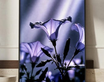Japanese Floral Wall Art, Morning Glory Print, Vintage Japanese Decor, Purple Botanical Art, Asian Wall Decor, Wabi Sabi Poster