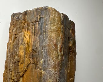 Large Arizona Petrified Wood with Druzy Quartz Fossil Wood Specimen