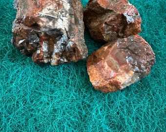 Red Agatized Petrified Wood