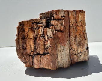 Large Natural Petrified Wood with Quartz Veining. Rustic Home Decor Stone 21 lb Specimen.