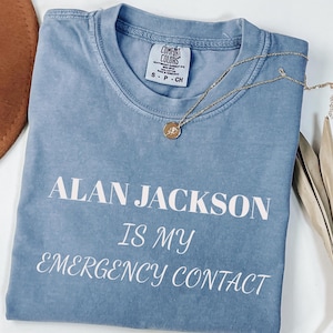 Karen Read Lawyers Comfort Colors T-Shirt: True Crime Trial Tee