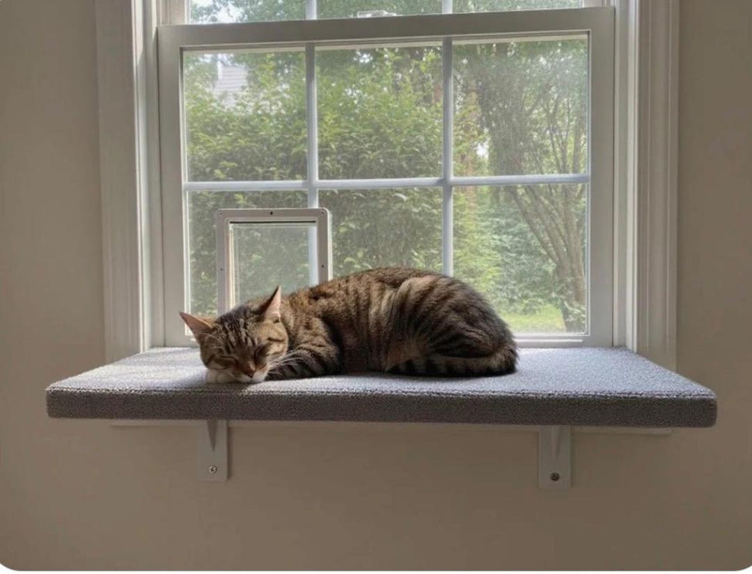 Window Ledge For Rabbits Custom Window Ledge Shelf for Cats, Small Dogs – PVC, USA Made ...