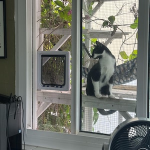 Custom Plexiglass Cat Door Window Insert, Lockable Cat Flap, Catio ...