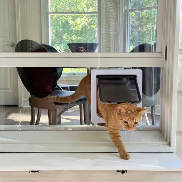 Custom Plexiglass Cat Door Window Insert, Lockable Cat Flap, Catio Access (Vertical/Horizontal)