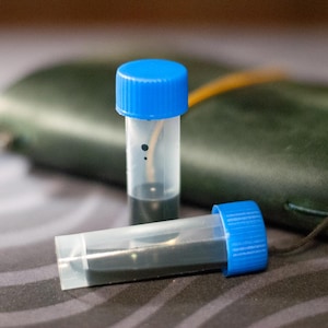 Ahornsirup 2ml Probe