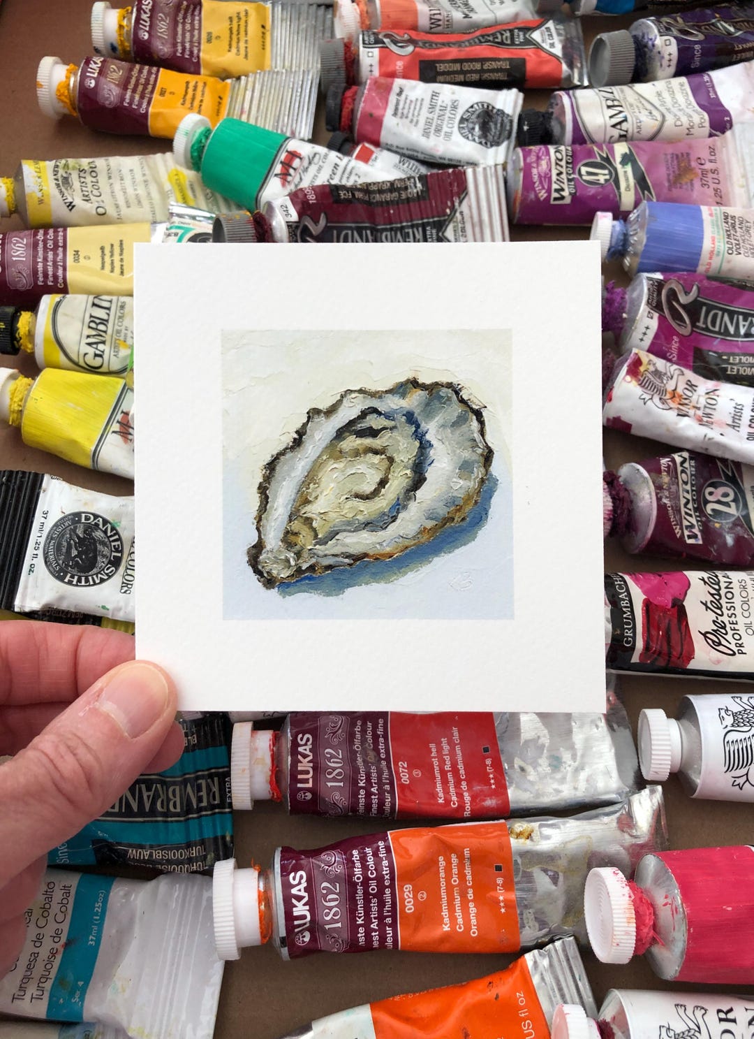 Oyster on the Half Shell Art Print From Oil Painting, 4x4 Small Square ...