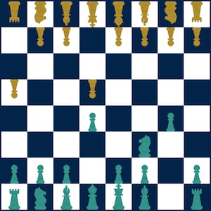 Chess Board Quilt PDF Paper Piecing Pattern #35