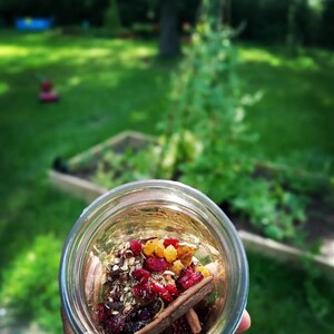Może przedstawiać: Szklany słoik wypełniony suszonymi owocami, przyprawami i ziołami. Słoik stoi na zielonej trawie.