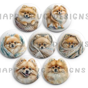 Cozy Poms Pomeranian Magnet Set - 7 One Inch Magnets