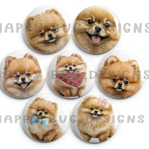 Sitting Pretty Poms Pomeranian Magnet Set - 7 One Inch Magnets
