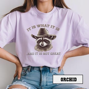 Comfort Colors® &quot;It Is What It Is And It Is Not Great&quot; T-Shirt - Funny Raccoon Meme Tee