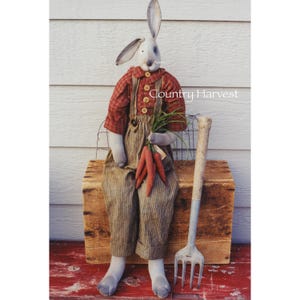 May include: A gray bunny wearing overalls and a red plaid shirt holds a bunch of carrots and a bunch of green grass. The bunny is sitting on a wooden crate with a metal garden fork next to it. The text "Country Harvest" is visible in the image.