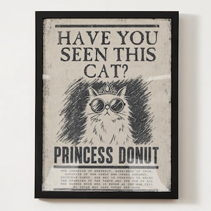 Puede incluir: Un póster enmarcado con una ilustración en blanco y negro de un gato esponjoso con una corona y gafas de sol redondas. El texto dice HAVE YOU SEEN THIS CAT? y PRINCESS DONUT, seguido de un párrafo de texto descriptivo en un marco negro.