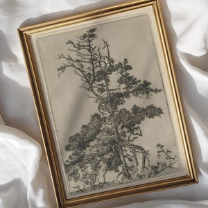Vintage Baum Radierung Kunstdruck, antike botanische Illustration, rustikale Natur Wand-Dekor, schwarz & weiß digitaler Download, Waldlandschaft