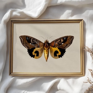 Vintage Butterfly Print, Cream Botanical Wall Art, Yellow & Brown Insect Illustration, Digital Download, Cottagecore Farmhouse Nature Decor