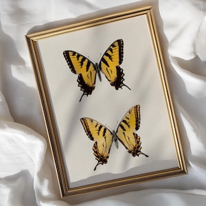 Vintage Two Yellow Butterflies Art Print, Printable Wall Art Farmhouse Nature Decor, Classic Botanical Illustration, Digital Download Poster