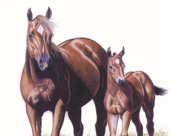Limited Edition Print of Qtr Horse Mare and Colt - B Bruckner