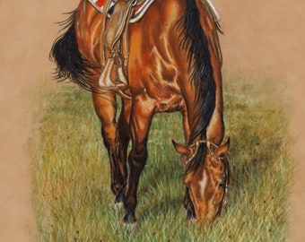 Grazing Bay Quarter Horse Print from Colored Pencil Drawing - Western Equine Art ~ Ranch Horse ~ Cowhorse ~ Western Art ~ Western Horse Art