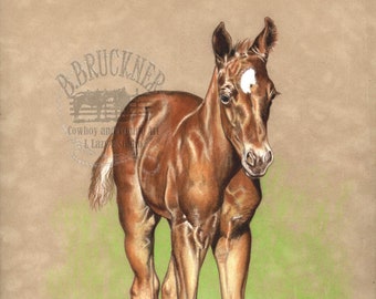 Baby Colt - Quarter Horse Foal - Print from Colored Pencil Drawing - Equine Art - Horse Art