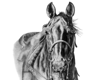 The Working Cowhorse Western Equine Print from Pencil Drawing ~ Ranch Horse Portrait ~ Western Art ~ Cowpony Art ~ Cowboy Decor ~ Signed Art