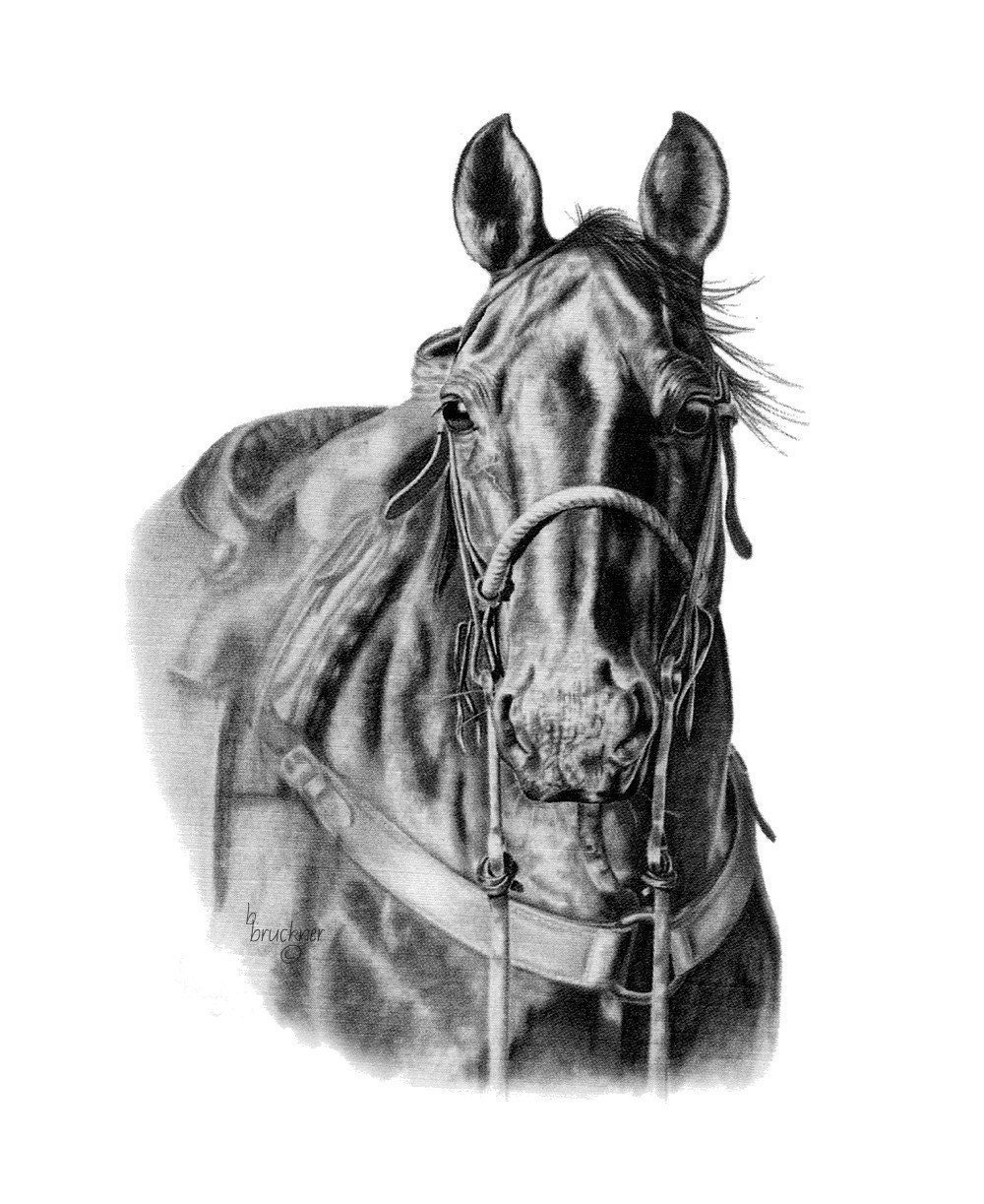 12+ Pencil Western Drawings