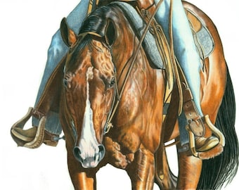 May include: A detailed drawing of a brown horse with a white blaze, wearing a saddle and bridle. The horse is being ridden, with the rider's legs and stirrups visible. The artwork is rendered in a realistic style, with careful attention to detail.