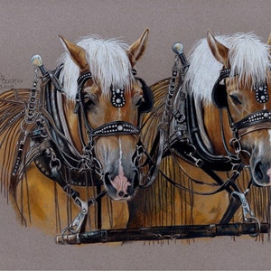 Horse Power, Signed Print from Colored Pencil Drawing, Draft Horses image 1