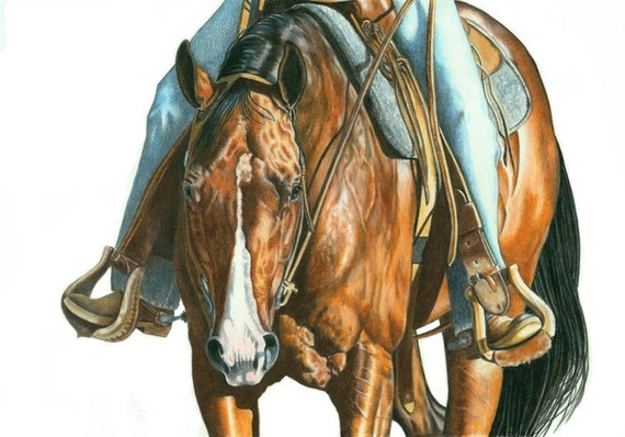 Bay Quarter Horse Art Print, Western Pleasure Horse Portrait, Signed Art Print