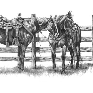 Grafika przedstawiająca konia w stylu western wykonana ołówkiem grafitowym ~ Cowponies
