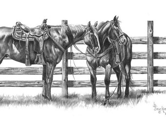 May include: A detailed pencil drawing of two horses standing next to a wooden fence. One horse is saddled. The artwork is in black and white, with the artist's signature and the year '89 visible in the lower right corner.