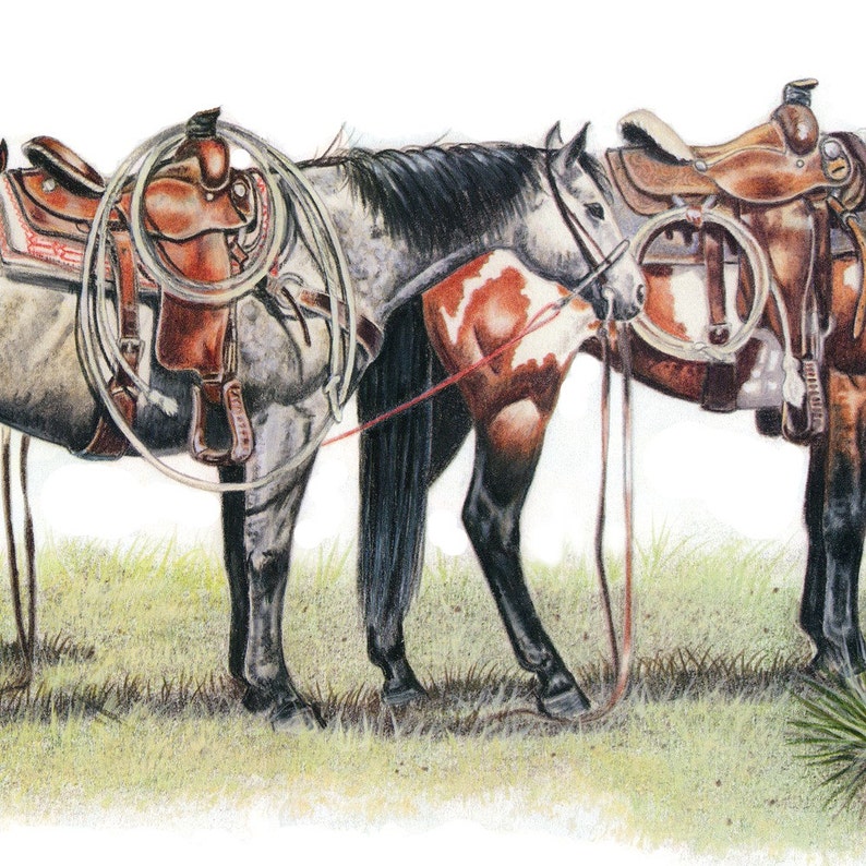 Rope Horses Colored Pencil Limited Edition Signednumbered Etsy
