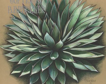 Art Print of Blue Glow Agave ~ Southwestern Wall Decor ~ Succulent Art ~Signed Print