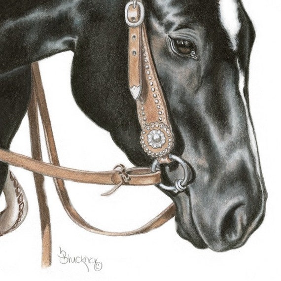 Quarter Horse Head Drawings In Pencil