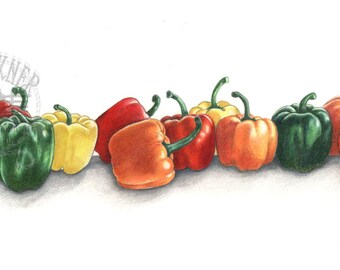 May include: A watercolor illustration of bell peppers in various colors: red, green, yellow, and orange. The peppers are arranged in a row, with their green stems visible. The artwork is signed by the artist.