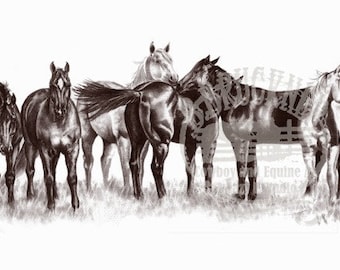 The Remuda Horse Limited Edition Art Print by B.Bruckner in Graphite Pencil